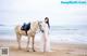 A woman in a white dress standing next to a horse on the beach.